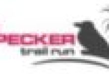 logo_oxp_2022